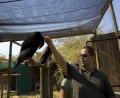 Mike & Black Eagle