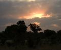 under African skies
