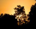 last Kruger sunset