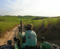 beach tractor ride