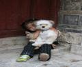 cute-child-and-dog