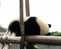 sweet-dreams