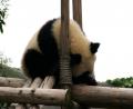 nearly-bedtime