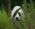 i-can-see-you