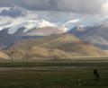 Tingri-plains