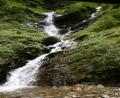 lush valley 3