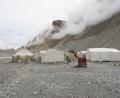 base-camp