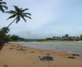 Baga-beach