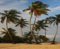 Colva-beach