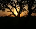 Desert-sunset