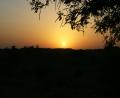 Desert-sunset-2
