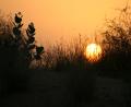Desert-sunset-3