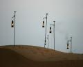 Desert-lanterns