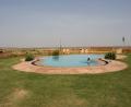 Desert-swimming