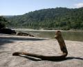 Ganges valley