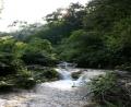 waterfall walk