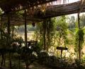 herb garden