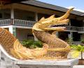 golden dragon