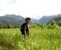 paddy field boy